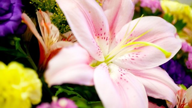 葬式に贈る生花 供花 の相場は 生花の種類と贈るときのマナーについて 終活のてびき お葬式の費用 喪服や葬儀マナー 遺品整理まで詳しく解説